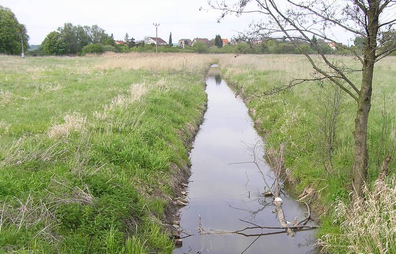 rybářství