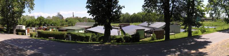 rybářství