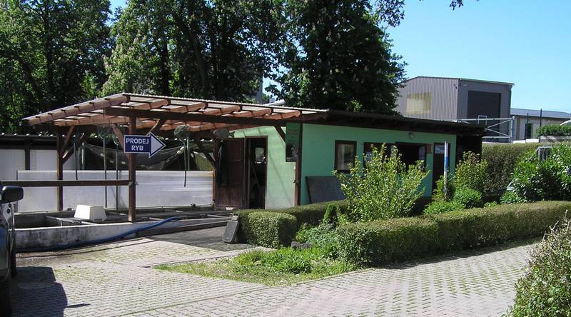 rybářství