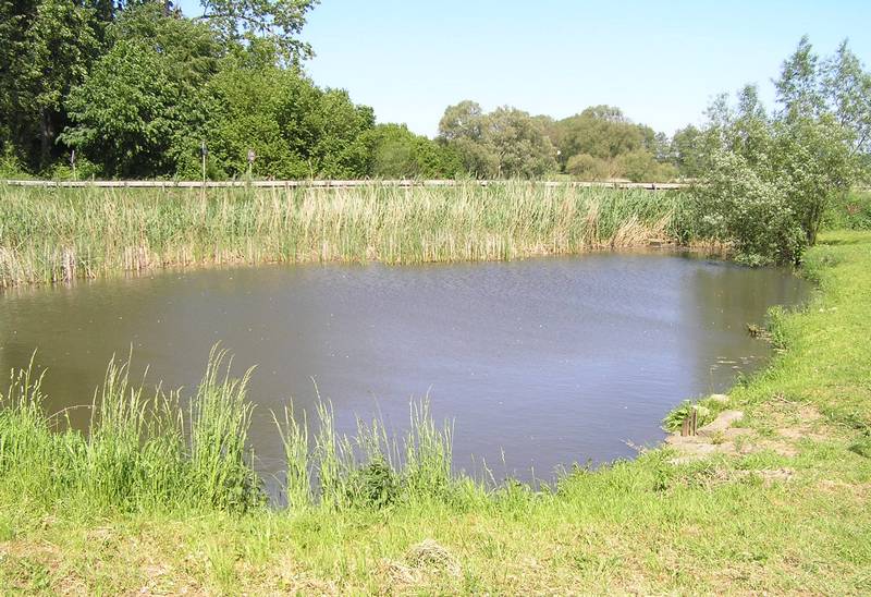 rybářství