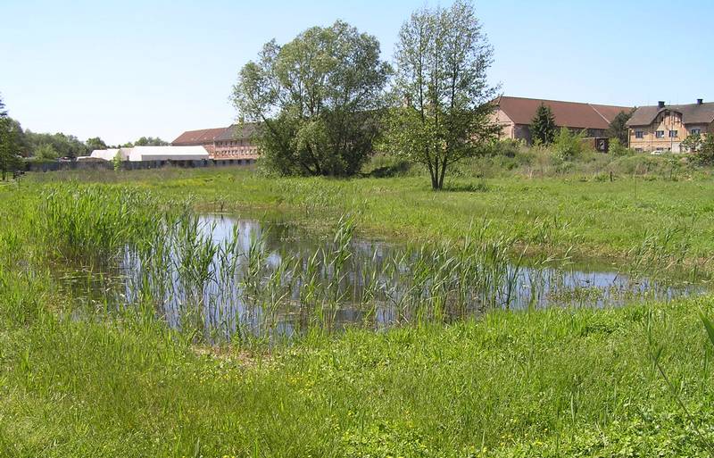rybářství