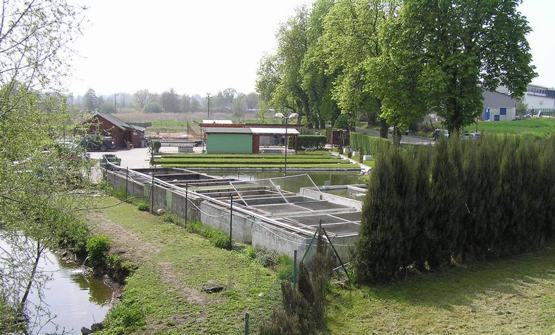 rybářství