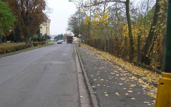 zřízená cesta parkem
