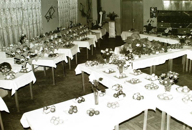 vstava