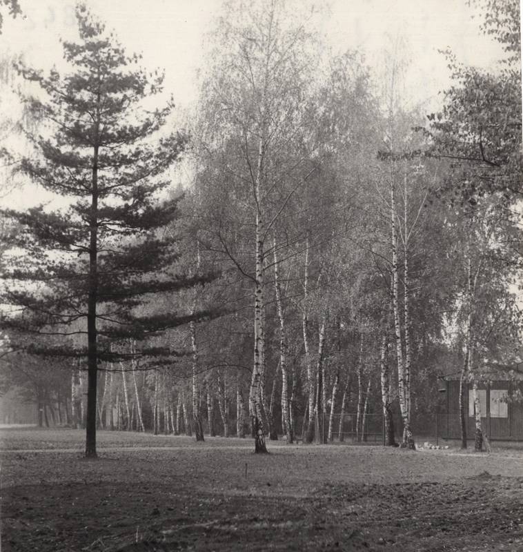 ulice 9. května