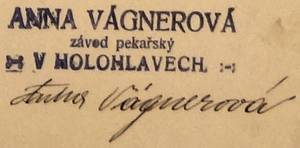 Anna Vágnerová