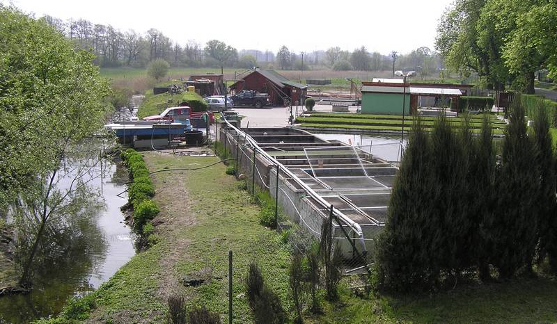 Dlouhá ulice