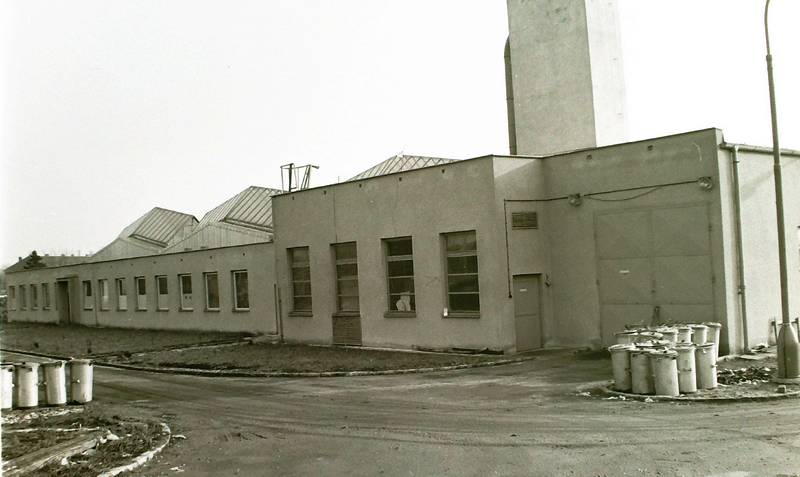 Dřevotvar