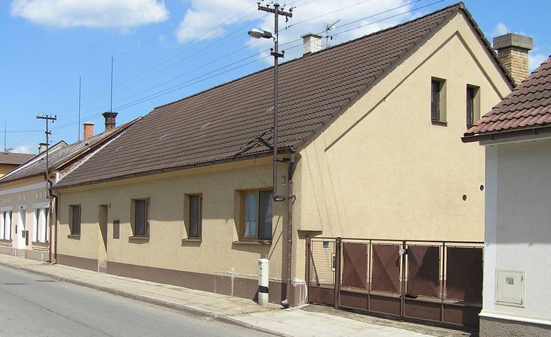Nvltova 207