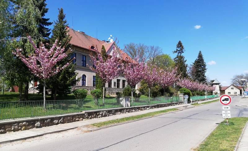 Školní ulice