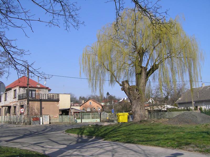 Smiřická ulice - Holohlavy