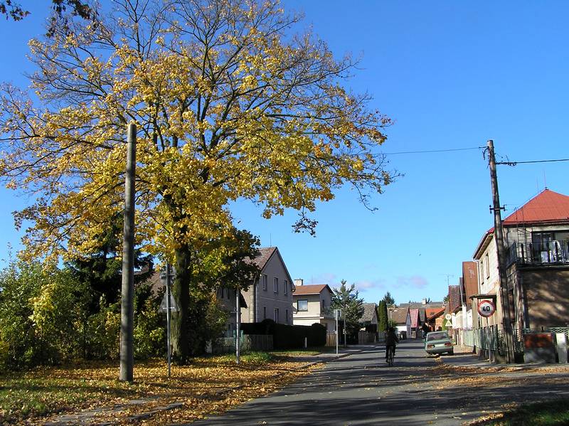 Smiřická ulice - Holohlavy