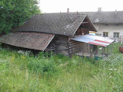 Holohlavy