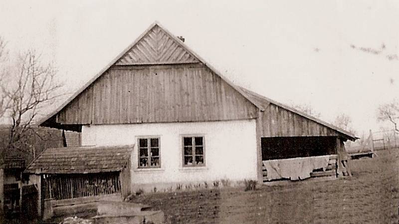 čp. 5