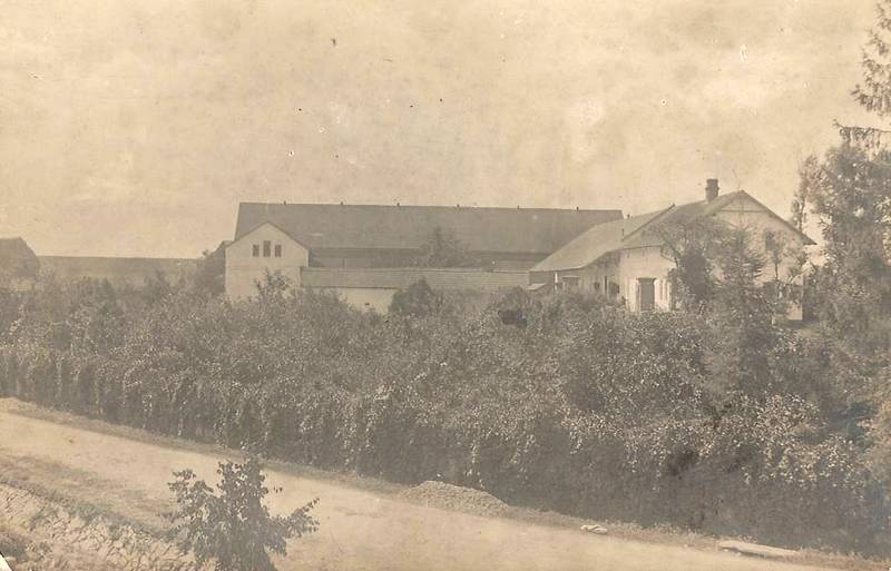 čp. 19