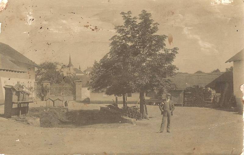 čp. 19