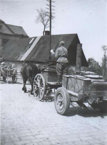 rusové