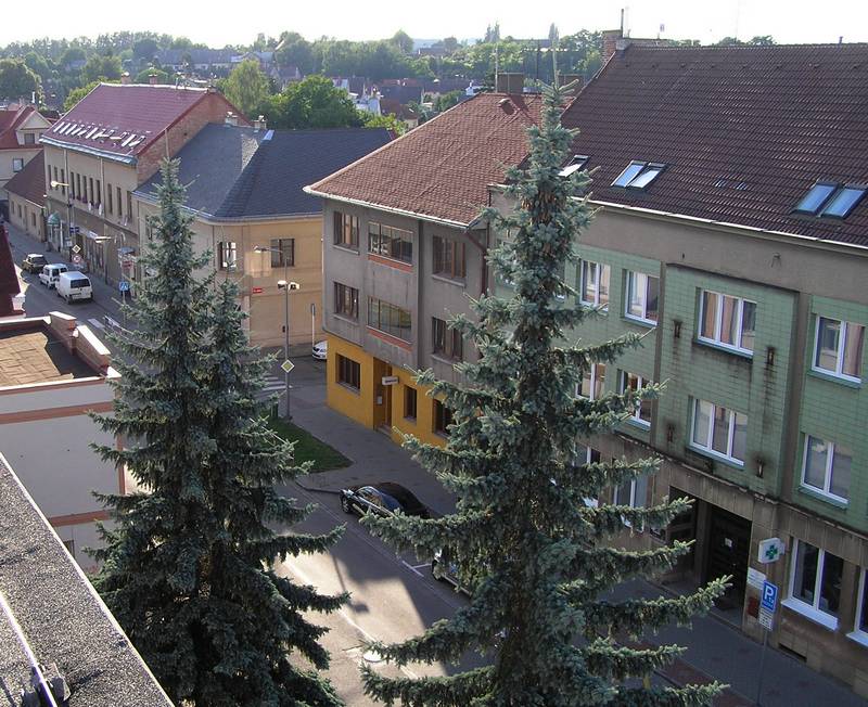 střecha